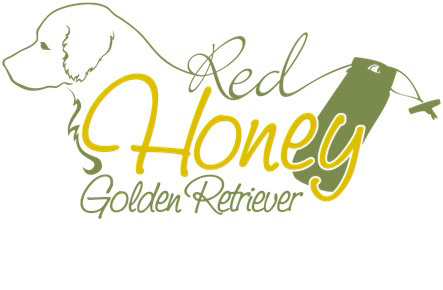 red-honey-logo