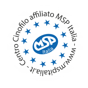 logo-msp